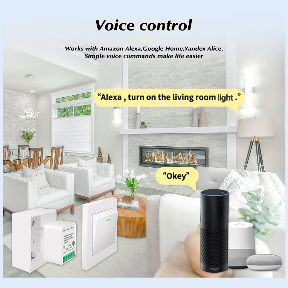 Tuya Mini Akıllı WiFi Anahtarı - Home Automation Diy incelemesi ve fiyatı
